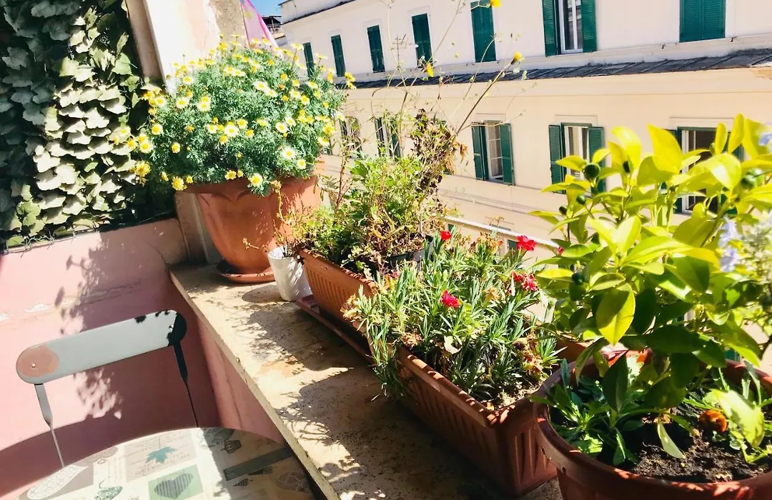 When In Rome Accommodation-1