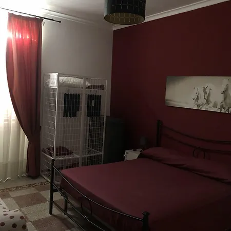 B&B Da Ponticello-2